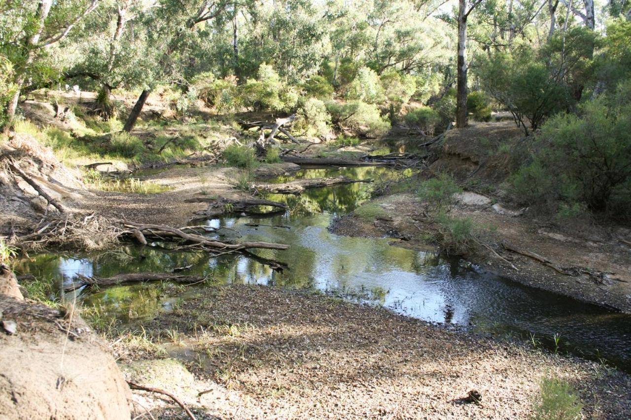 Villa Barrabup Sanctuary Birdhide Nannup Exterior foto